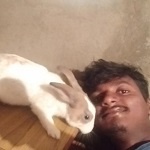 Akhil Cheelapogu